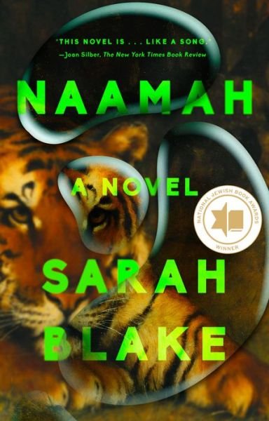 Cover for Sarah Blake · Naamah: A Novel (Paperback Book) (2020)