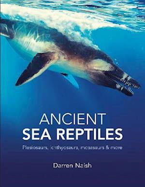 Cover for Darren Naish · Ancient Sea Reptiles: Plesiosaurs, ichthyosaurs, mosasaurs and more (Hardcover Book) (2023)