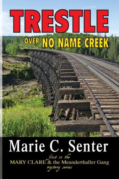 Cover for Marie C Senter · Trestle over No Name Creek (Pocketbok) (2013)