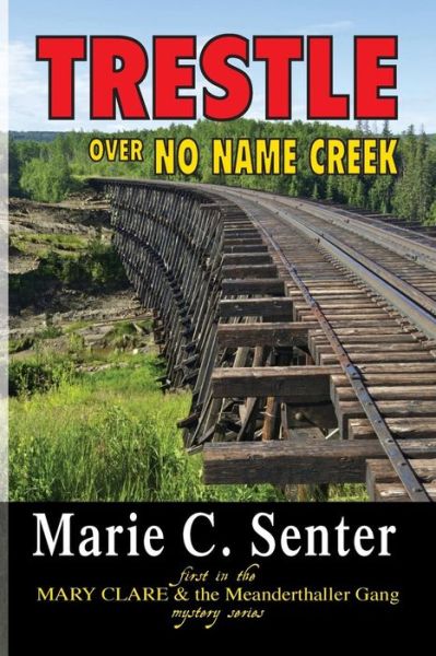 Trestle over No Name Creek - Marie C Senter - Bøger - Franklin Scribes - 9780988643345 - 15. juli 2013