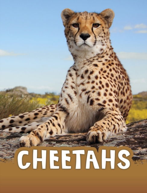 Cover for Jaclyn Jaycox · Cheetahs (N/A)