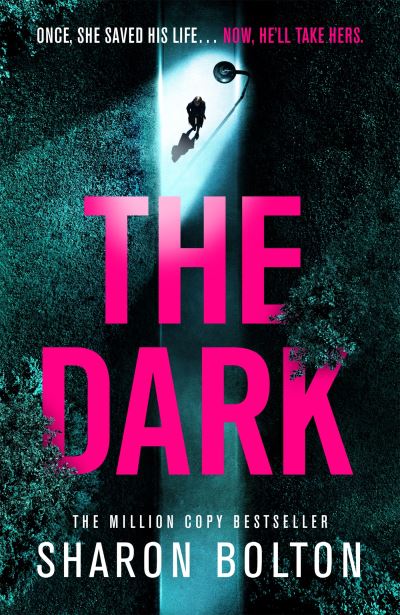 Cover for Sharon Bolton · The Dark: A compelling, heart-racing, up-all-night thriller from Richard &amp; Judy bestseller Sharon Bolton - Lacey Flint (Hardcover Book) (2022)