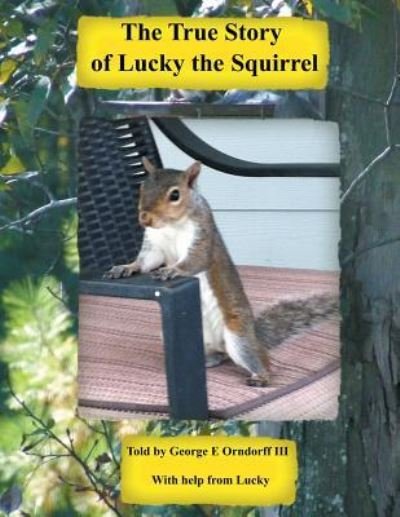 Cover for Orndorff, George, III · Lucky the Squirrel (Paperback Book) (2013)