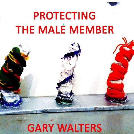 Cover for Gary Walters · Protecting the Male Member (Paperback Book) (2014)