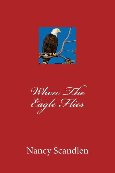 Cover for Nancy E Scandlen · When the Eagle Flies (Taschenbuch) (2014)