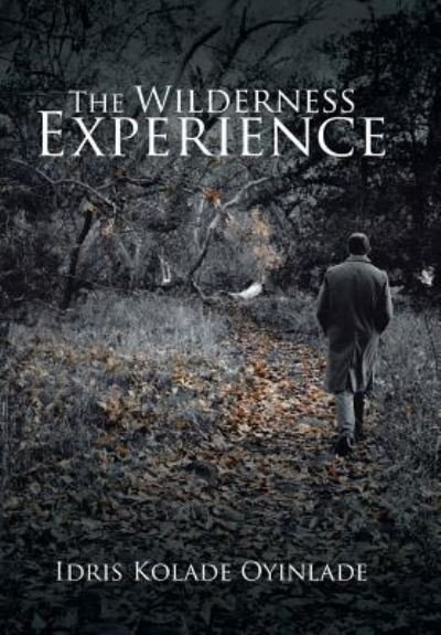 Cover for Idris Kolade Oyinlade · The Wilderness Experience (Innbunden bok) (2016)