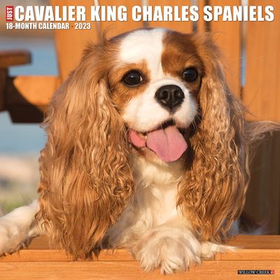 Cover for Willow Creek Press · Just Cavalier King Charles Spaniels 2023 Wall Calendar (Book) (2022)