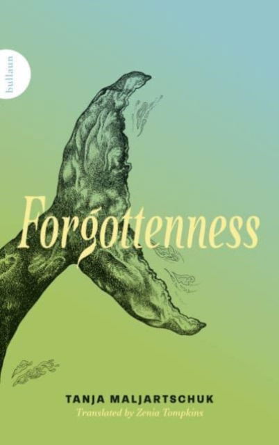 Cover for Tanja Maljartschuk · Forgottenness (Paperback Book) (2024)