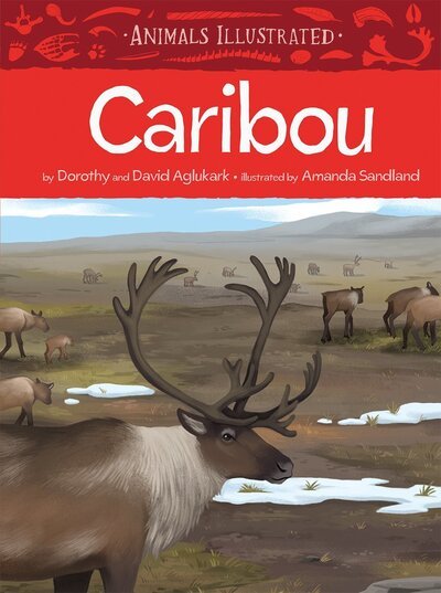 Cover for Dorothy Aglukark · Animals Illustrated: Caribou - Animals Illustrated (Inbunden Bok) [English edition] (2019)