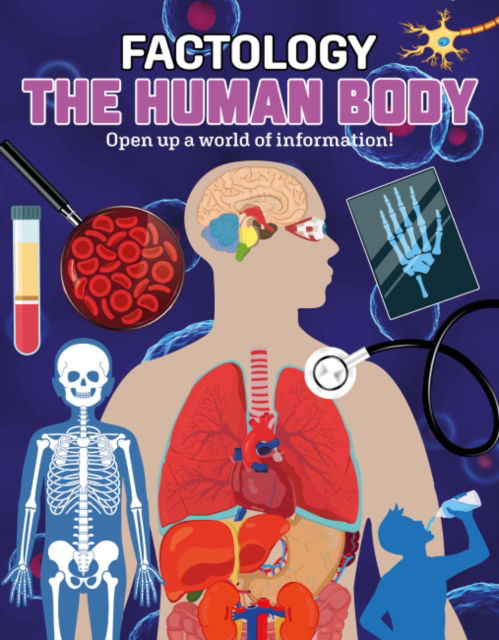 Cover for Button Books · Factology: The Human Body: Open Up a World of Information! - Factology (Gebundenes Buch) (2023)