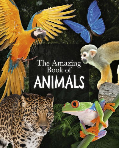 The Amazing Book of Animals - Amazing Books - Dr Michael Leach - Książki - Arcturus Publishing Ltd - 9781789508345 - 1 listopada 2019