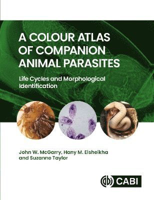 Cover for McGarry, John (University of Liverpool, UK) · A Colour Atlas of Companion Animal Parasites: Life Cycles and Morphological Identification (Inbunden Bok) (2024)