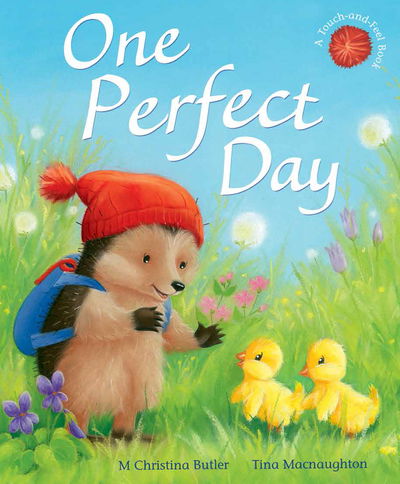 Cover for M Christina Butler · One Perfect Day - Little Hedgehog (Paperback Book) (2019)