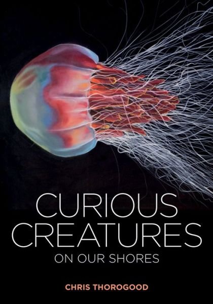 Cover for Chris Thorogood · Curious Creatures on our Shores (Gebundenes Buch) (2019)