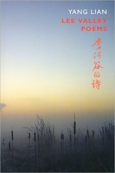 Lee Valley Poems - Yang Lian - Książki - Bloodaxe Books Ltd - 9781852248345 - 22 października 2009