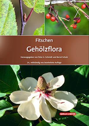 Cover for Peter A. Schmidt · Fitschen – Gehölzflora (Book) (2023)