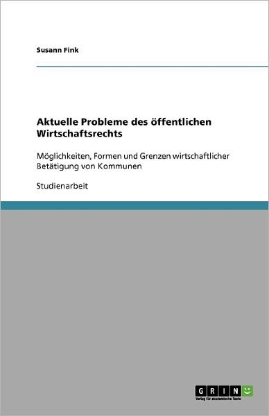Aktuelle Probleme des öffentlichen - Fink - Books - Grin Publishing - 9783640287345 - March 12, 2009