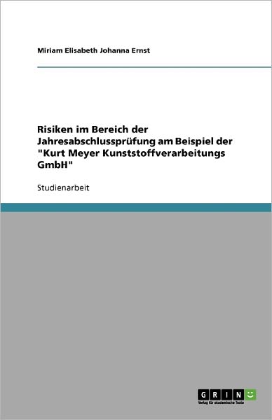 Cover for Ernst · Risiken im Bereich der Jahresabsc (Book) [German edition] (2013)