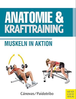 Cover for Ricardo Cánovas · Anatomie &amp; Krafttraining (Book) (2024)