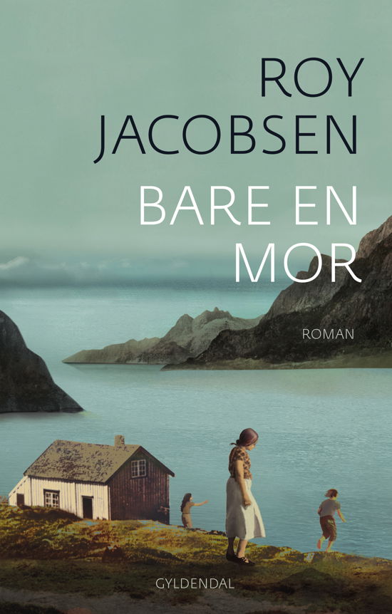 Cover for Roy Jacobsen · Barrøy-serien: Bare en mor (Innbunden bok) [1. utgave] (2022)