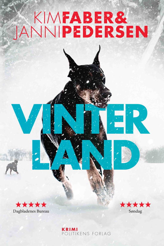 Cover for Kim Faber &amp; Janni Pedersen · Juncker-serien: Vinterland (Pocketbok) [4:e utgåva] (2020)