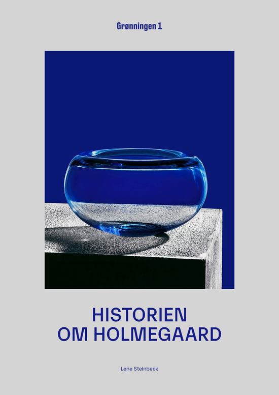 Cover for Lene Steinbeck · Historien om Holmegaard (Bound Book) [1. Painos] (2020)