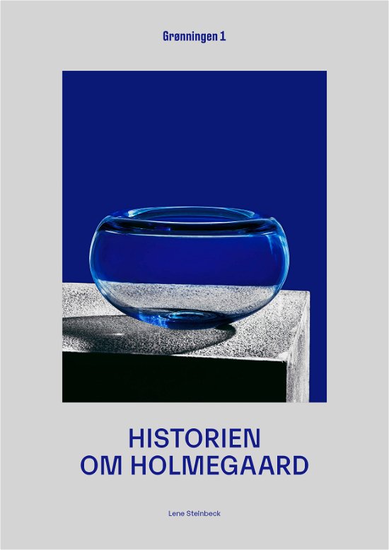 Cover for Lene Steinbeck · Historien om Holmegaard (Bound Book) [1st edition] (2020)