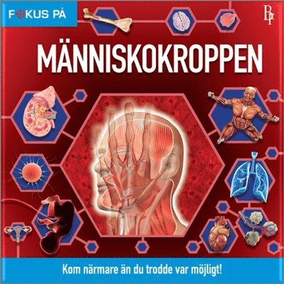 Cover for Malin Barthelson · Fokus på: Fokus på : Människokroppen (Bound Book) (2018)