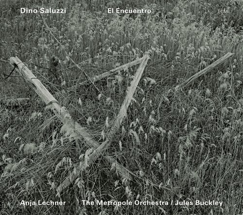 Cover for Saluzzi,dino &amp; Anja Lechner · El Encuentro (CD) (2010)