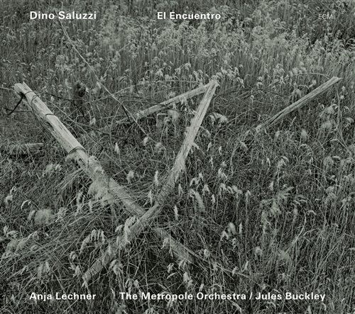 Saluzzi Dino / Anja Lechner W/ Metropole O · El Encuentro (CD) (2010)