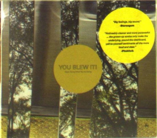 Cover for You Blew It! · Keep Doing What You're Doing (CD) [Digipak] (2014)