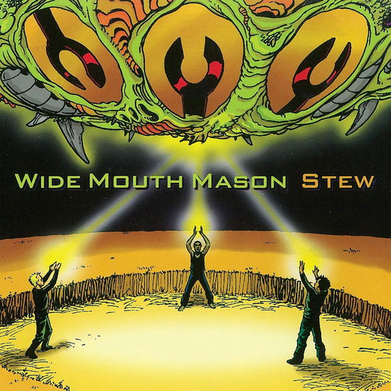 Cover for Wide Mouth Mason · Stew (LP) (2021)