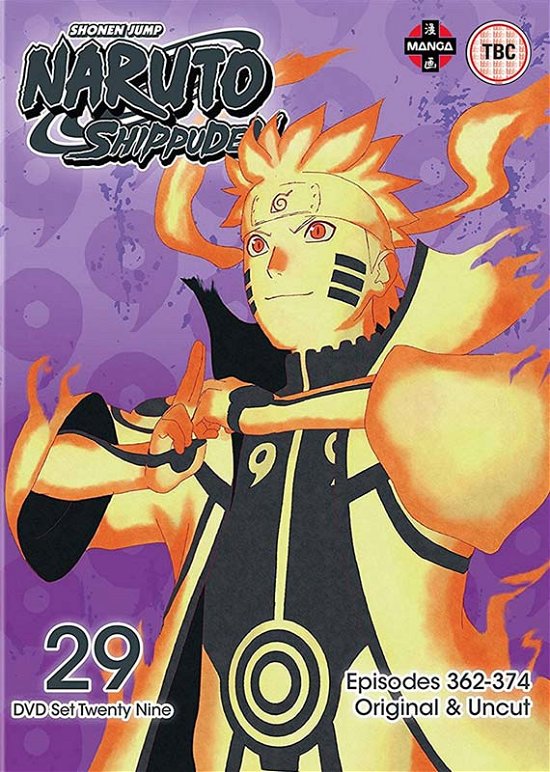 Cover for Manga · Naruto Shippuden Box 29 Episodes 362 to 374 (DVD) (2017)