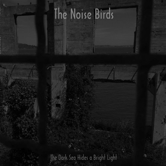 Cover for Noise Birds · The Dark Sea Hides A Bright Light (LP) (2020)