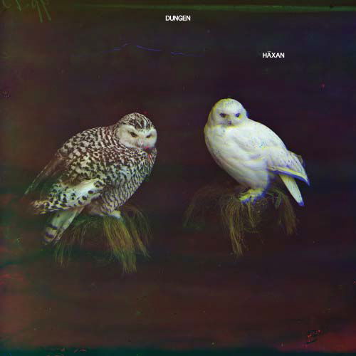 Häxan (Soundtrack) - Dungen - Musik - SMALLTOWN SUPERSOUND - 5053760021346 - 18. November 2016