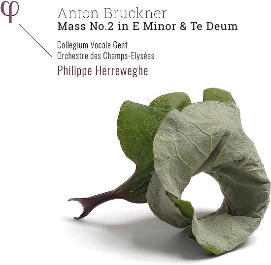 Cover for Collegium Vocale Gent / Philippe Herreweghe / Orchestre Des Champs-Elysees · Mass No.2 in E Minor &amp; Te Deum (CD) (2020)