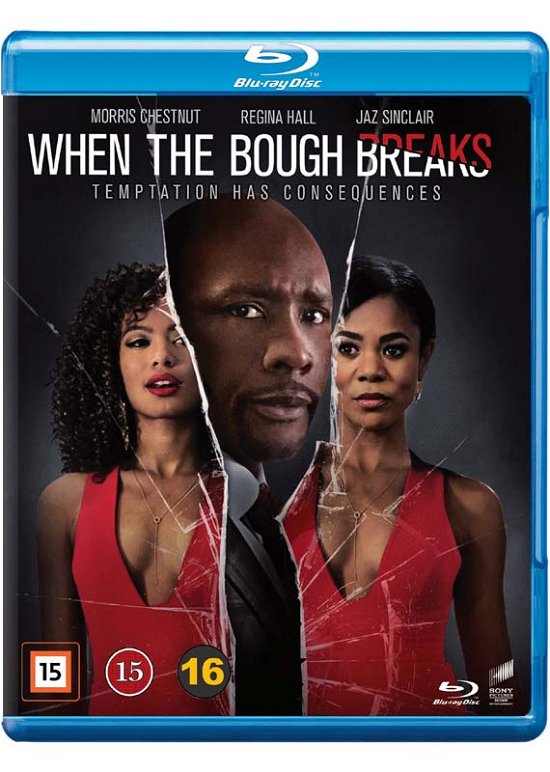 When the Bough Breaks -  - Películas - SONY DISTR - FEATURES - 7330031000346 - 2 de febrero de 2017