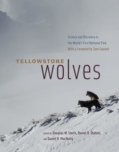 Cover for Douglas W. Smith, Daniel R. Stahler, Daniel R. Macnulty, Jane Goodall · Yellowstone Wolves: Science and Discovery in the World's First National Park (Hardcover Book) (2020)