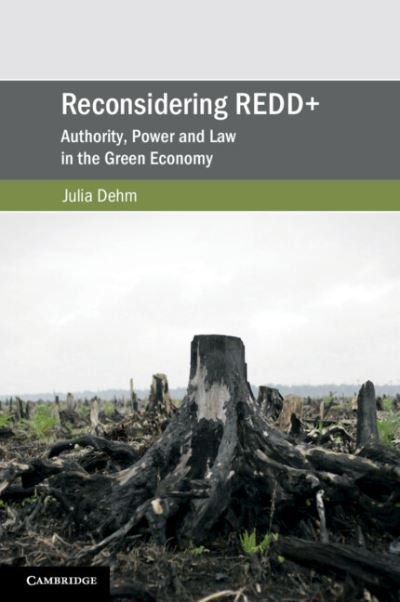 Cover for Dehm, Julia (La Trobe University, Victoria) · Reconsidering REDD+: Authority, Power and Law in the Green Economy - Cambridge Studies on Environment, Energy and Natural Resources Governance (Pocketbok) (2022)
