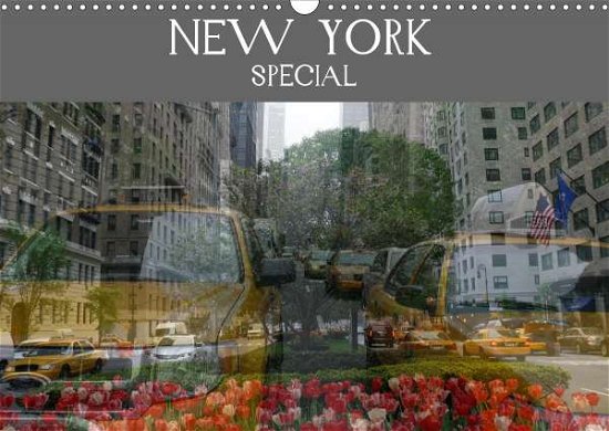 Cover for Ruhm · New York Special (Wall Calendar 20 (Book)