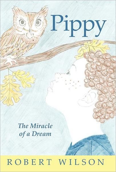 Cover for Robert Wilson · Pippy: the Miracle of a Dream (Hardcover Book) (2011)