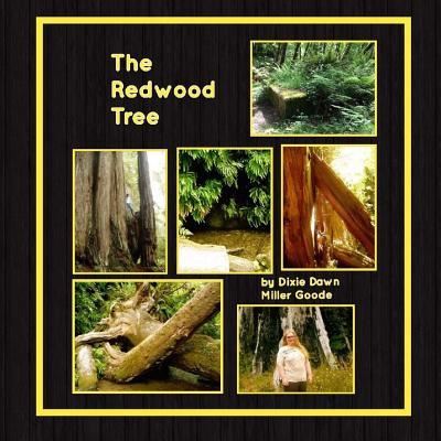 Cover for Dixie Dawn Miller Goode · The Redwood Tree (Taschenbuch) (2016)