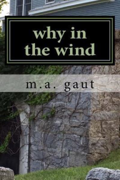 Cover for M a Gaut · Why in the Wind (Paperback Book) (2017)