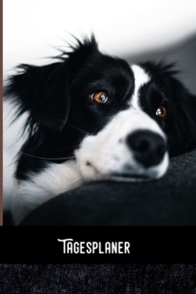 Cover for Zestya Tagesorganizer · Tagesplaner (Paperback Book) (2019)