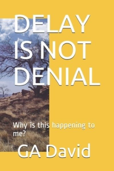 Delay is Not Denial - Gbadebo Dave Adebayo - Books - Independently published - 9781695266346 - September 24, 2019