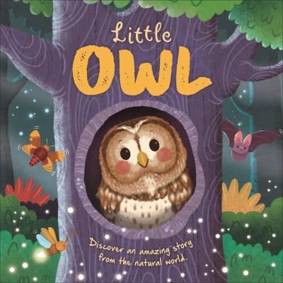 Cover for Autumn Publishing · Little Owl - An illustrated story about the life-cycle of an owl (Kartongbok) (2024)