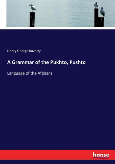 Cover for Henry George Raverty · A Grammar of the Pukhto, Pushto: Language of the Afghans (Paperback Bog) (2016)