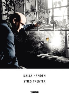 Cover for Stieg Trenter · Harry Friberg: Kalla handen (Book) (2014)