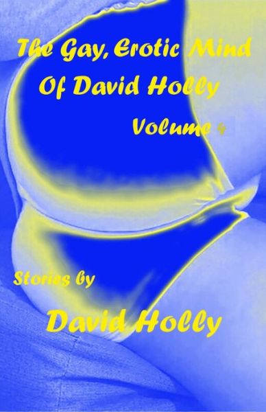 Cover for David Holly · The Gay, Erotic Mind of David Holly, Volume 4 (Paperback Book) (2020)