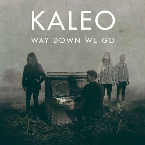 Cover for Kaleo · Way Down We Go (SCD) (2017)